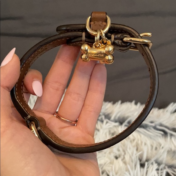 2 PIECE GIFT SET: Coach SMALL LOGO Dog Leash+Strap - Picture 13 of 13